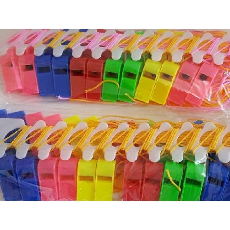 PLASTİK RENKLİ DÜDÜK 24 LÜ