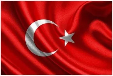 VATAN POLYESTER BAYRAK 120x180