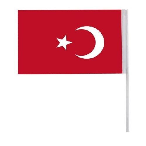 KÜÇÜK ÇITALI  BAYRAK 80 li