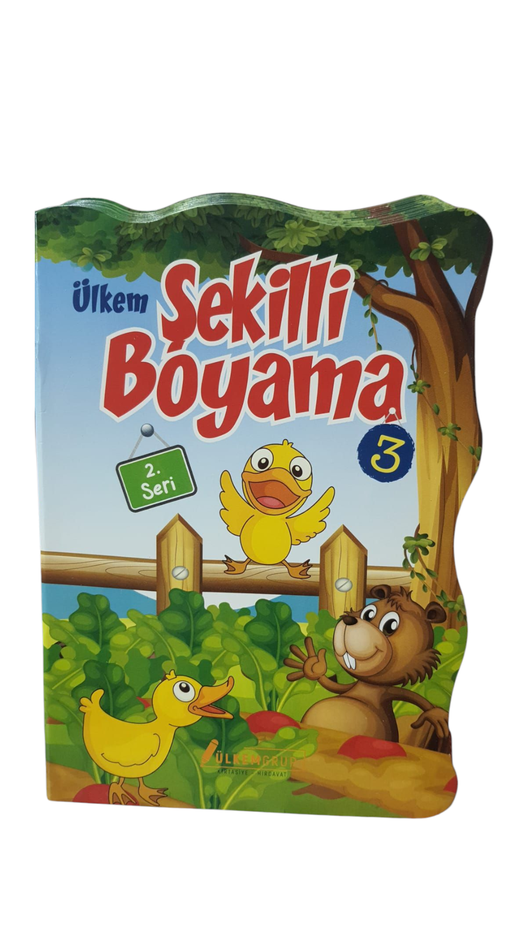 ÜLKEM ŞEKİLLİ BOYAMA