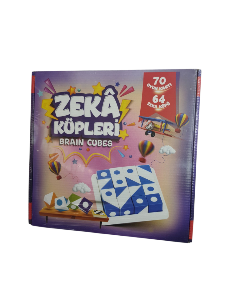 ZEKA KÜPLERİ BRAIN CUBES