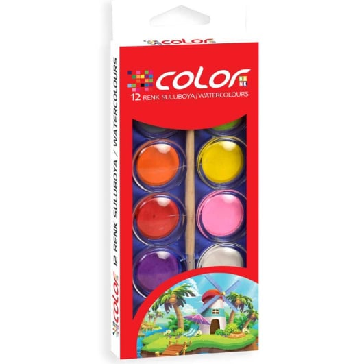 COLOR 12 RENK SULU BOYA